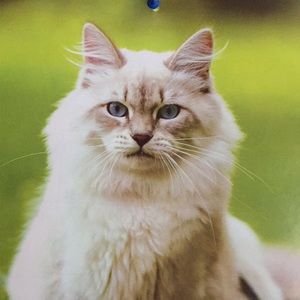 Meet your Posher, Juanita